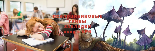 a pvp Абаза