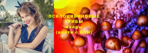 a pvp Абаза