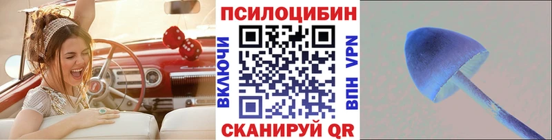Галлюциногенные грибы MAGIC MUSHROOMS  Адыгейск 